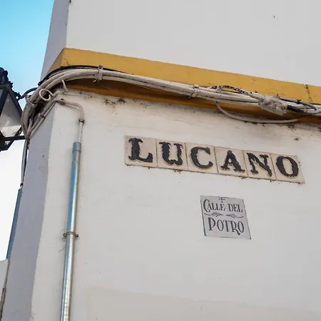 Casa Sojo *