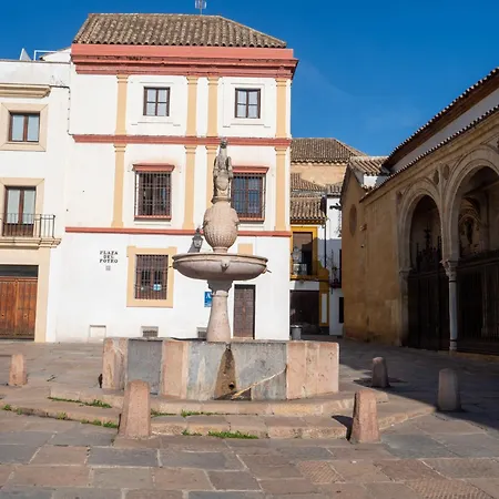 Apartamento Casa Sojo *